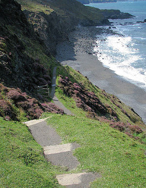 A%20trip%20to%20the%20beach_The%20path%27s%20end